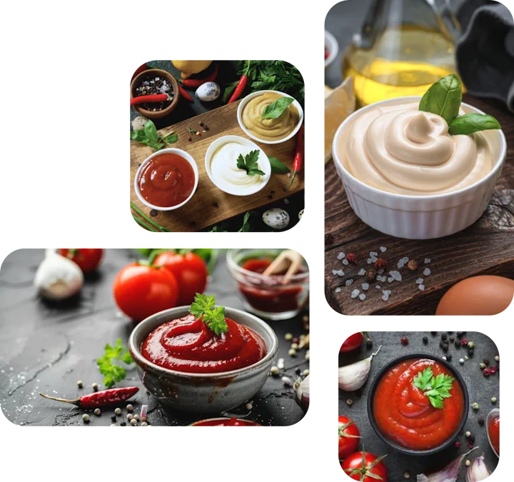 Mayonnaise, sauces, ketchups, mustard