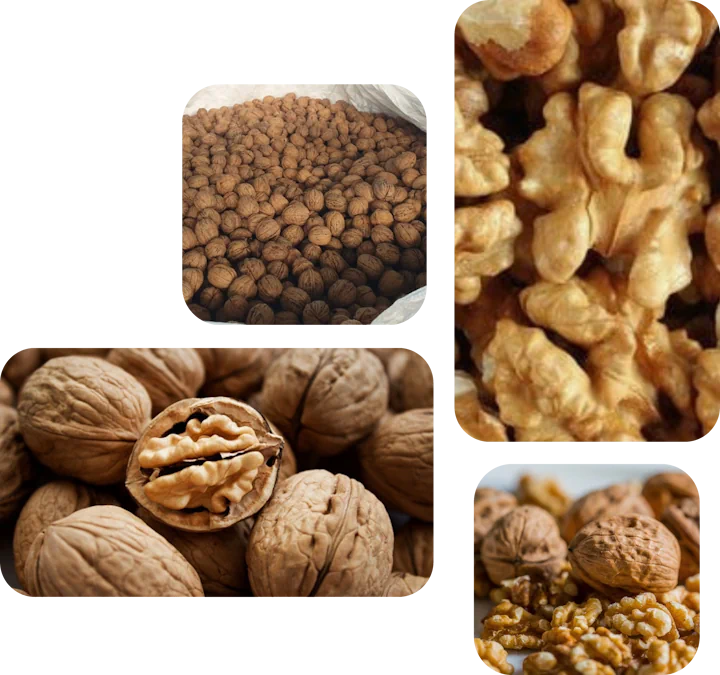 Nuts