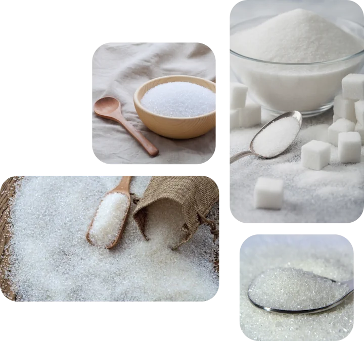 Sugar